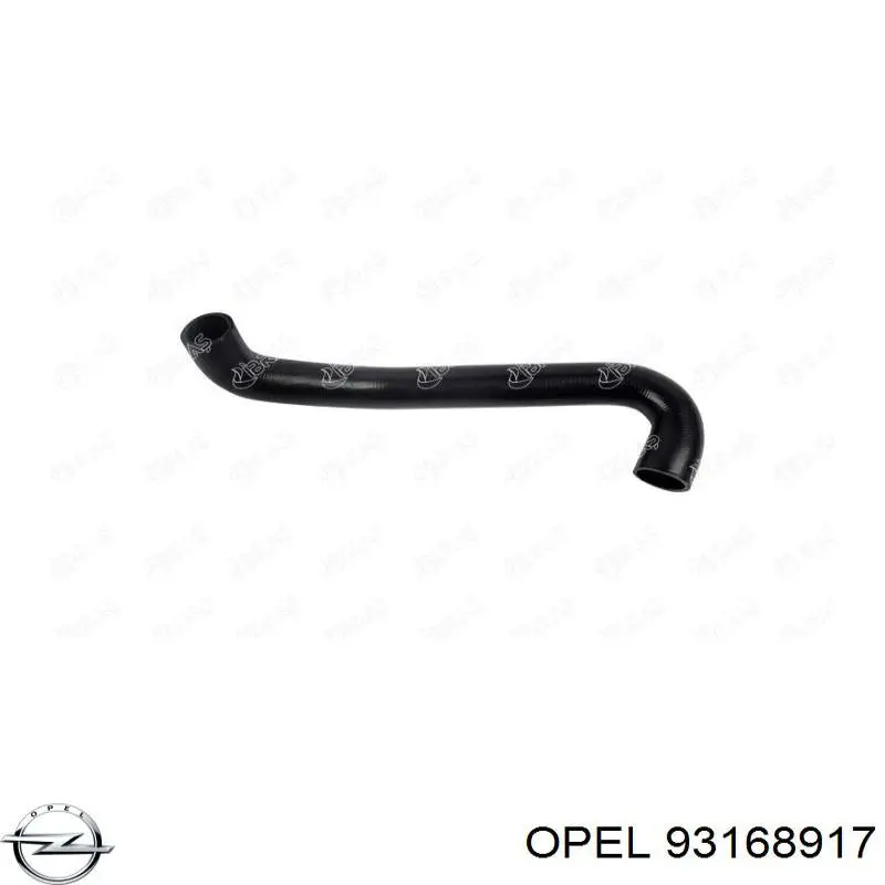 Шланг/патрубок радіатора охолодження, нижній 93168917 Opel