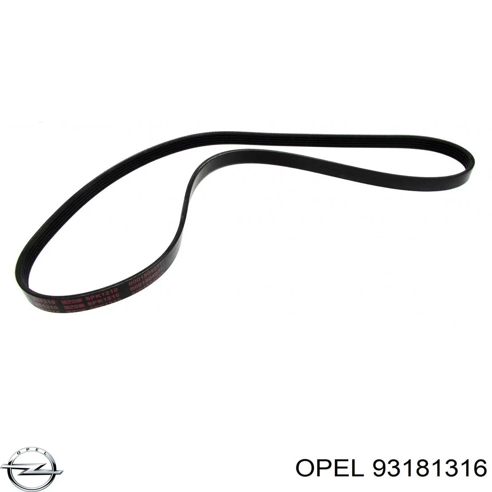 Клиновий ремінь Opel 93181316 ціна, від 7.47 USD