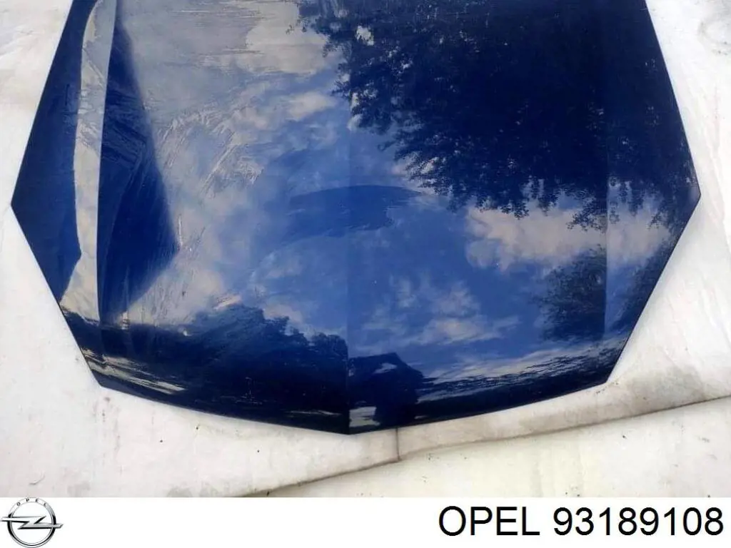 Капот 1160255 General Motors