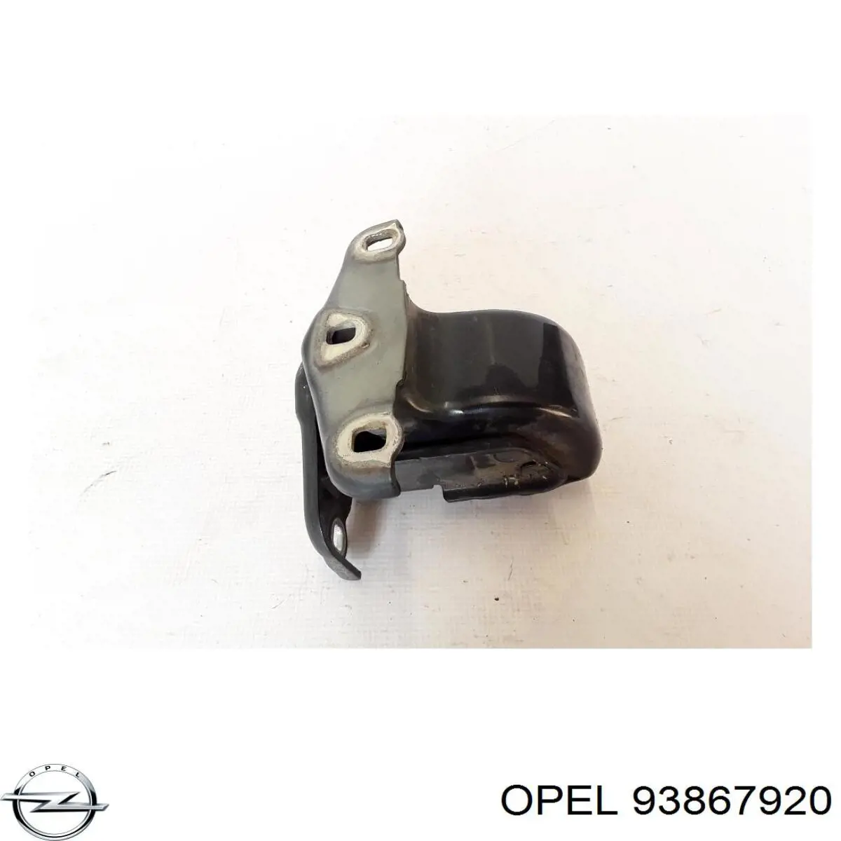 Купити 93867920 Renault (RVI) 