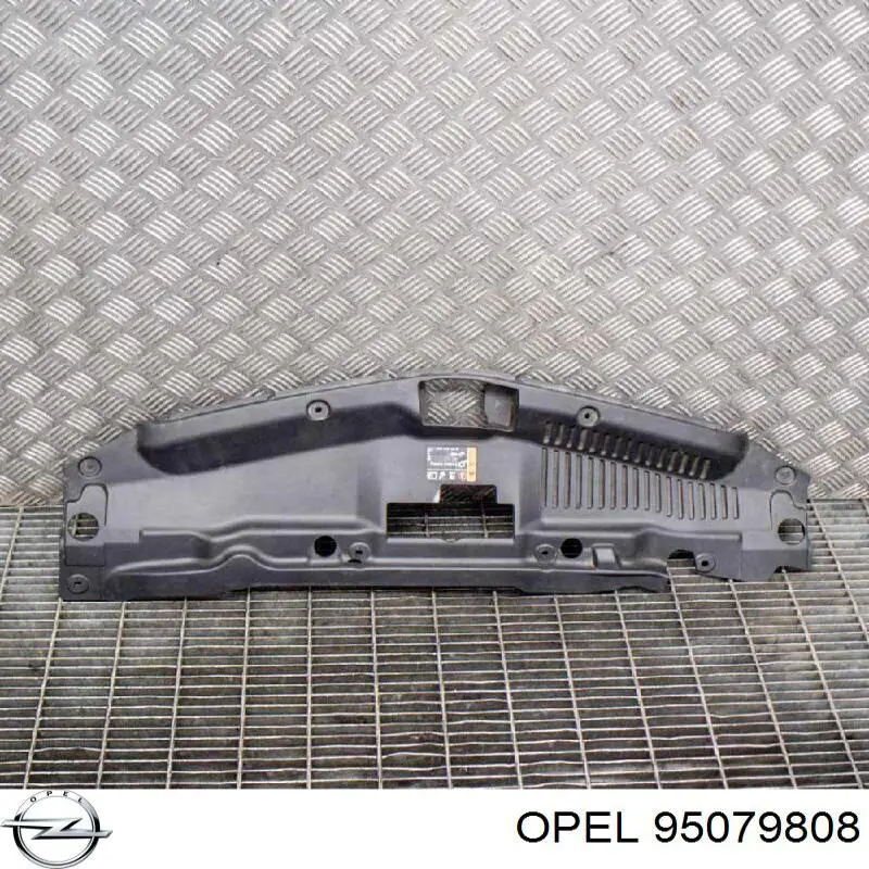 95079808 Opel 