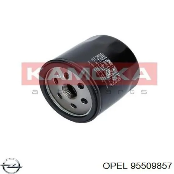 Купити 95509857 Opel Фільтр очищення масла відцентровий