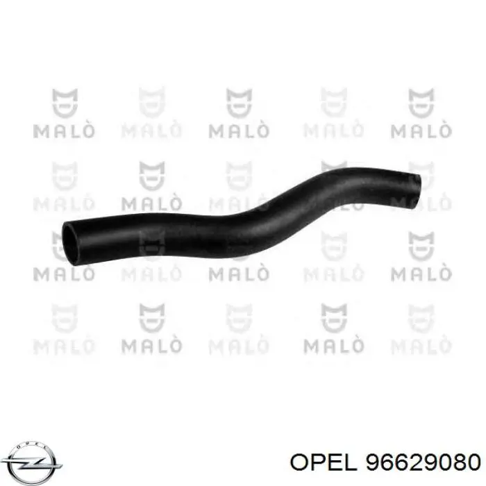 Купити 96629080 Opel Шланг/патрубок радіатора охолодження, верхній