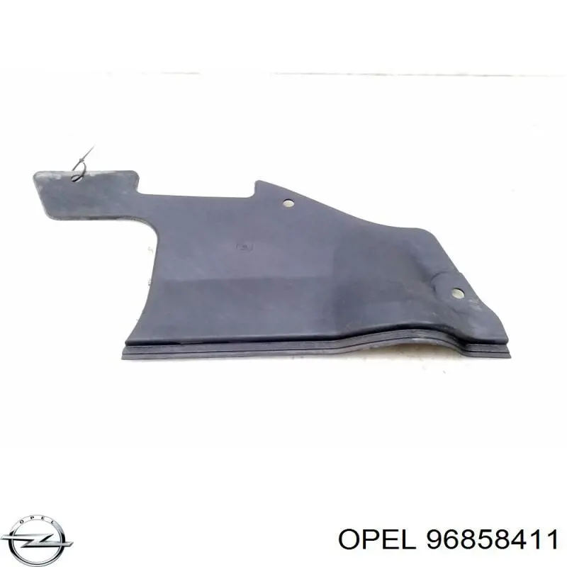  General Motors 96858411 ціна, від 16.51 USD
