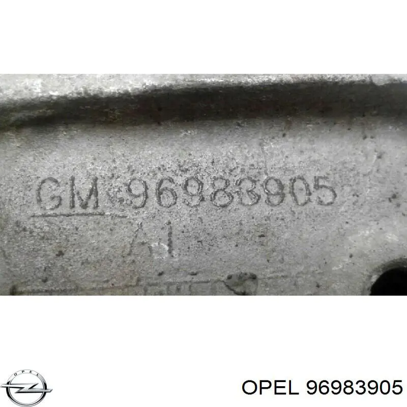 Купити 96983905 General Motors 