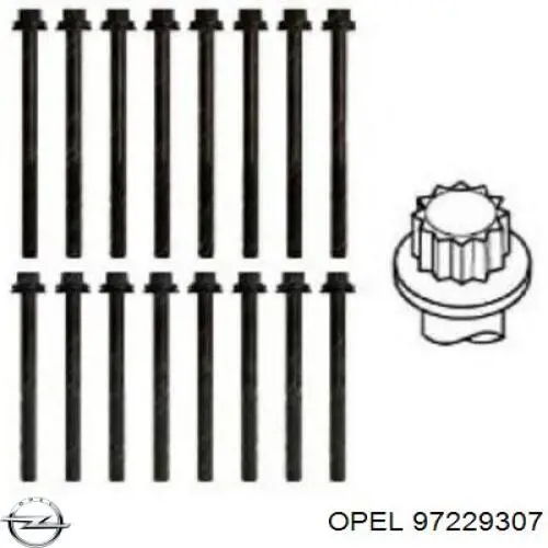Болт головки блока циліндрів, ГБЦ Opel 97229307 ціна, від 6.09 USD