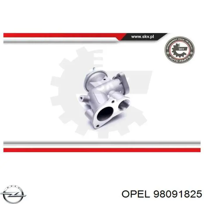 Клапан EGR, рециркуляції газів 98091825 Opel