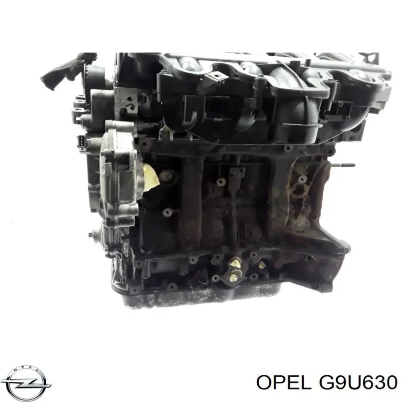 Двигун у зборі G9U630 Opel