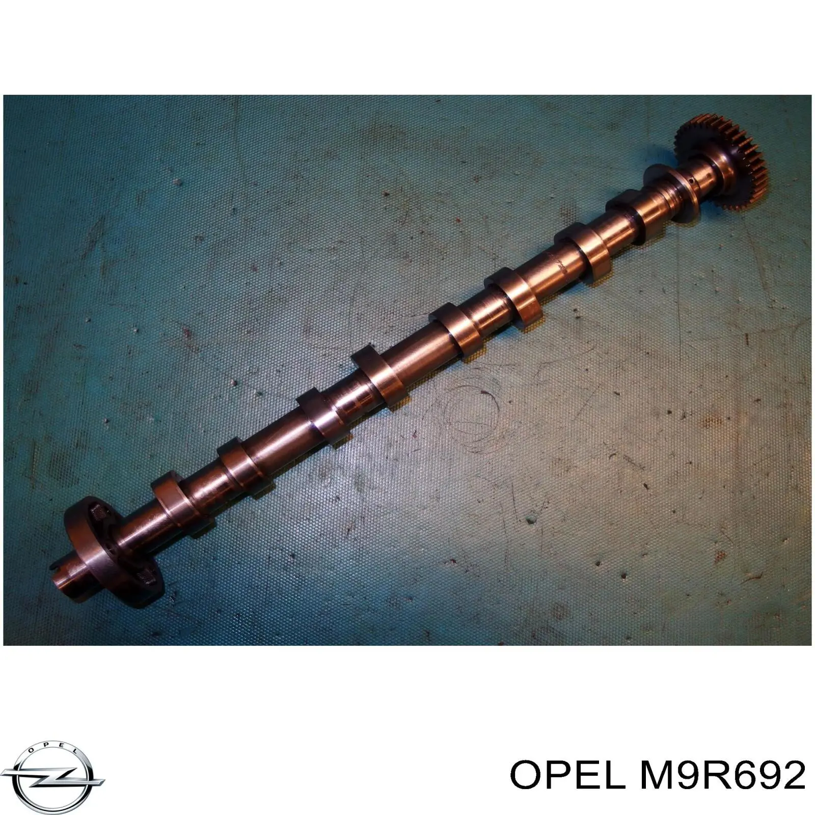 M9R692 Renault (RVI) Мотор в зборі
