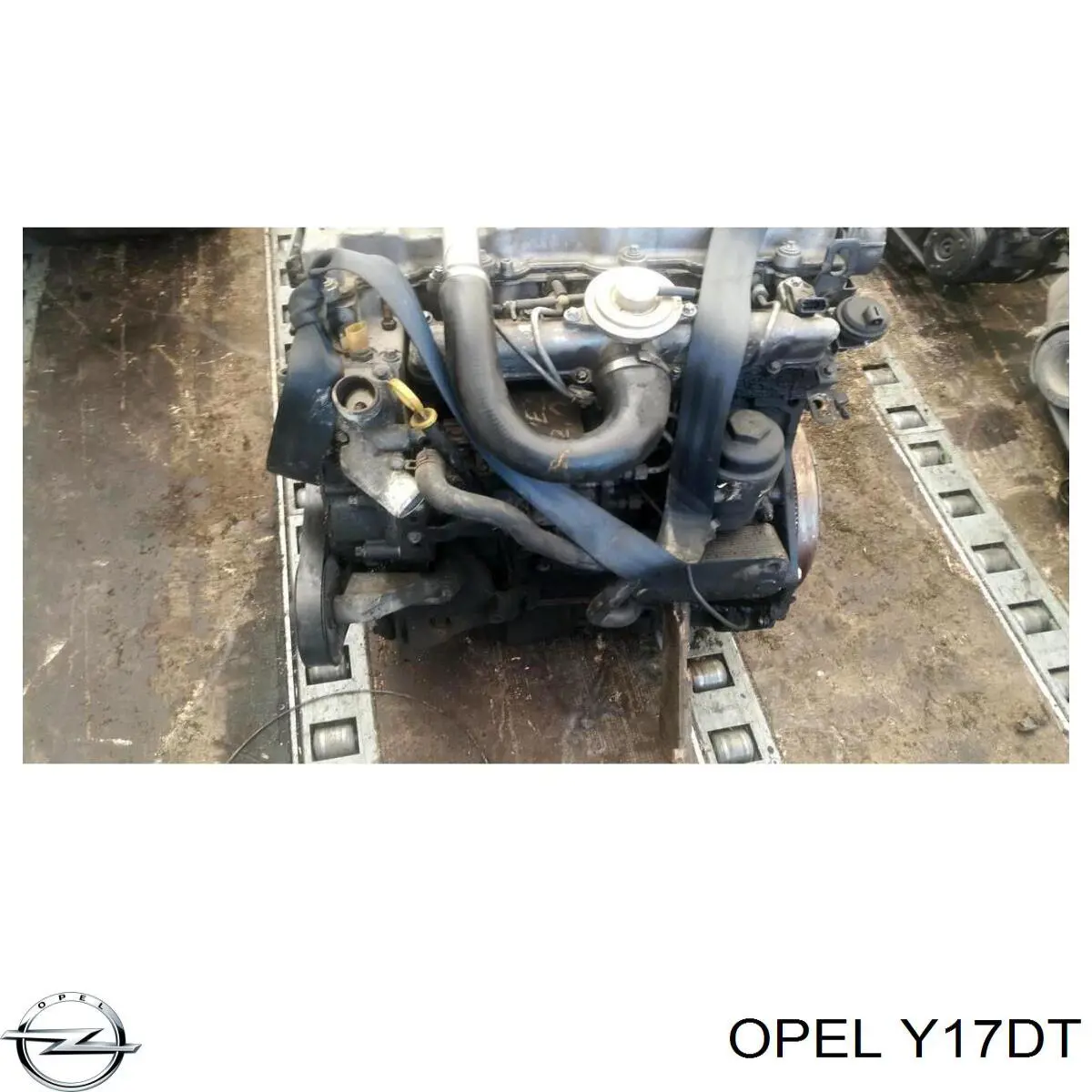 Купити Y17DT Opel Двигун