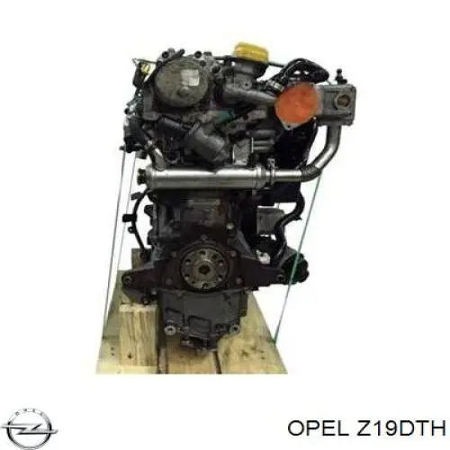 Z19DTH Opel Мотор в зборі