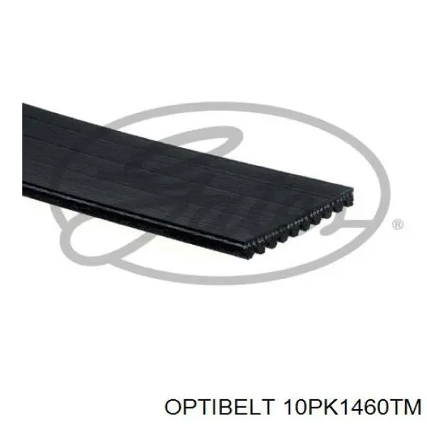 10PK1460 Dayco Поліклиновий ремінь