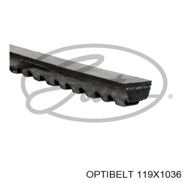 Купити 119X1036 Continental/Siemens Ремінь генератора