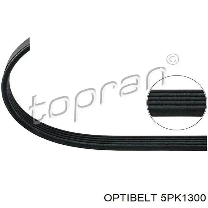 Клиновий ремінь Optibelt 5PK1300 ціна, від 10.06 USD