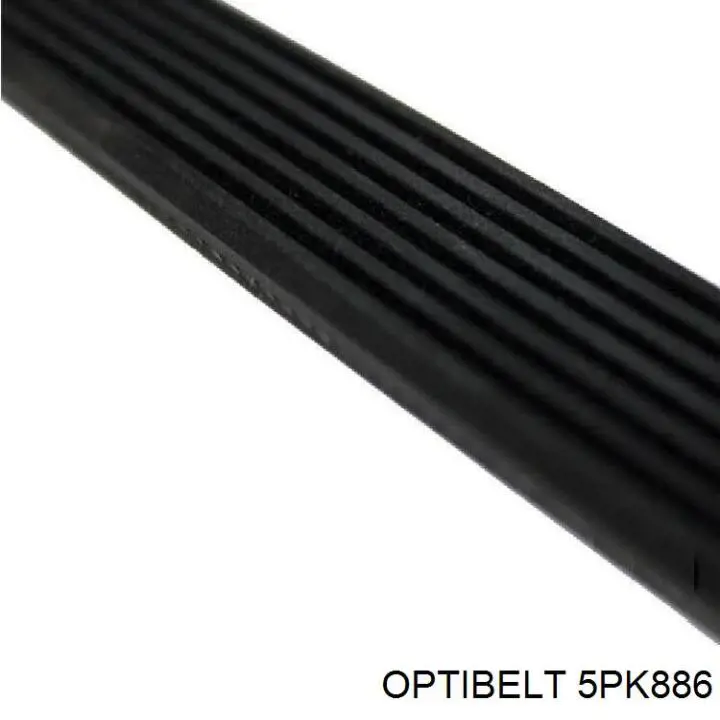  5PK886 Optibelt