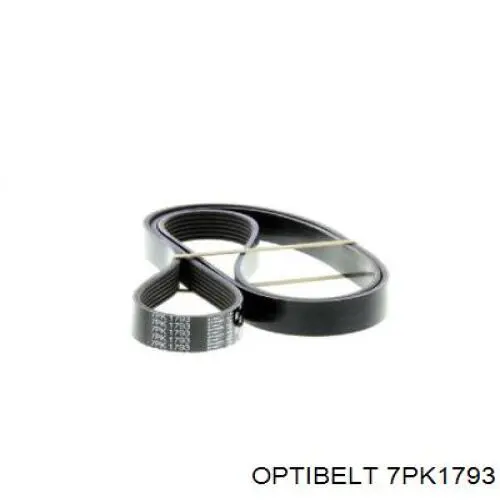 7PK1793 Optibelt Поліклиновий ремінь