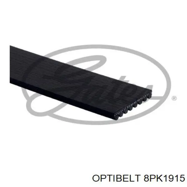 Ремінь генератора 8PK1915 Optibelt