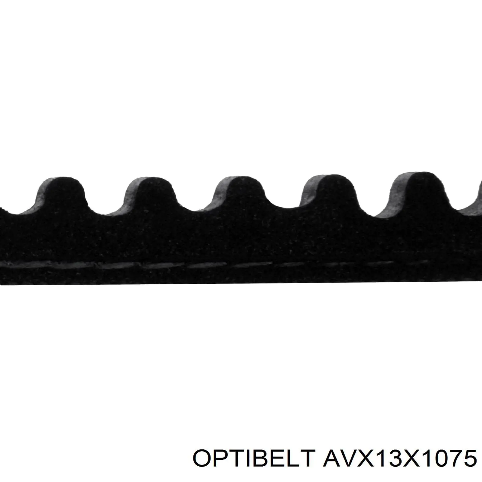 AVX13X1075 Optibelt ремінь приводний, агрегатів