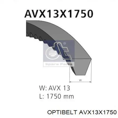 Купити AVX13X1750 Optibelt Ремінь генератора