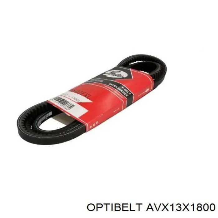Купити 13A1800C Dayco Ремінь генератора