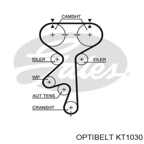 Комплект ГРМ KT1030 Optibelt