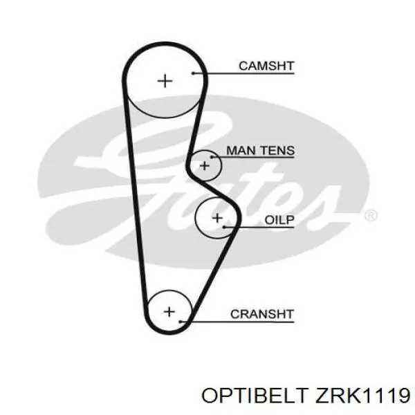 Ремінь ГРМ ZRK1119 Optibelt