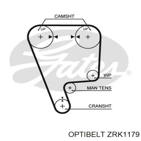 Купити ZRK1179 Optibelt Ремінь газорозподільного механізму