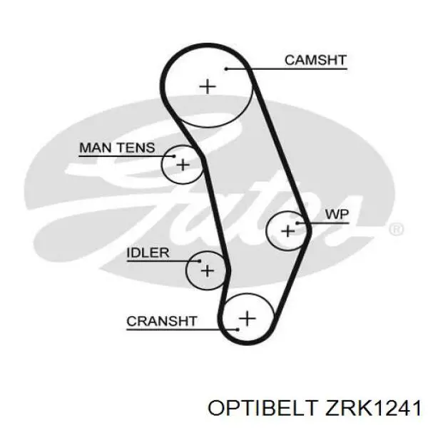 ZRK1241 Optibelt ремінь грм