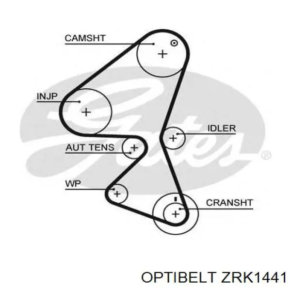 Ремінь ГРМ ZRK1441 Optibelt