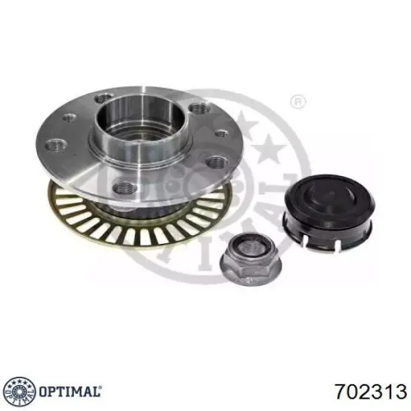 Задня маточина 8660001826 Renault (RVI)