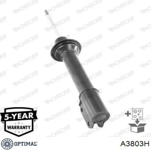Амортизатор передній 7700789513 Renault (RVI)