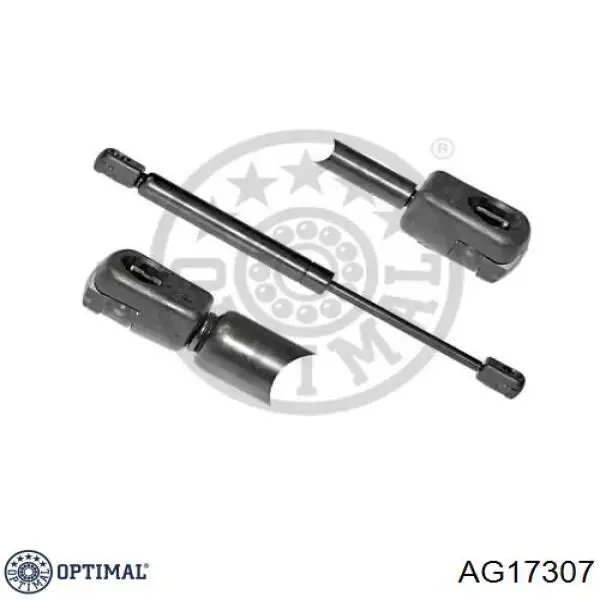 Амортизатор багажника 430719027300 Magneti Marelli