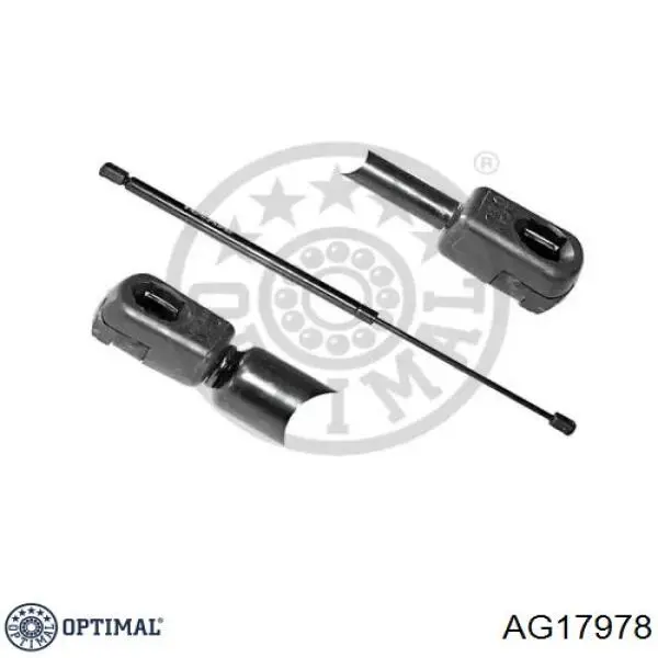 Амортизатор двері задньої Ford 1640343 ціна, від 6.64 USD