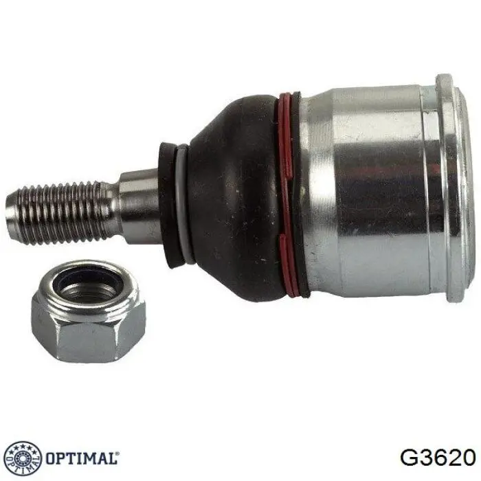 Кульова опора, нижня G3620 Optimal