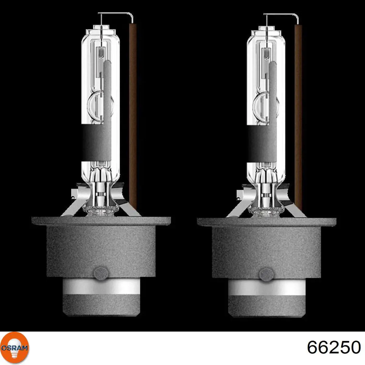 Лампочка ксеноновая 66250 Osram
