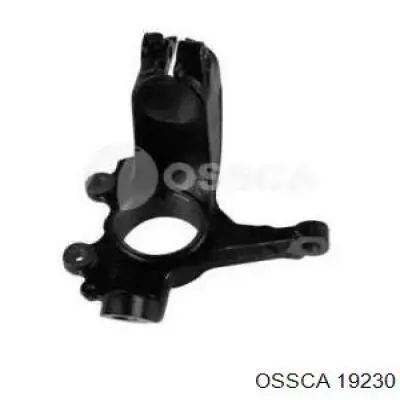 Купити SS4761 DP Group Цапфа передні праві
