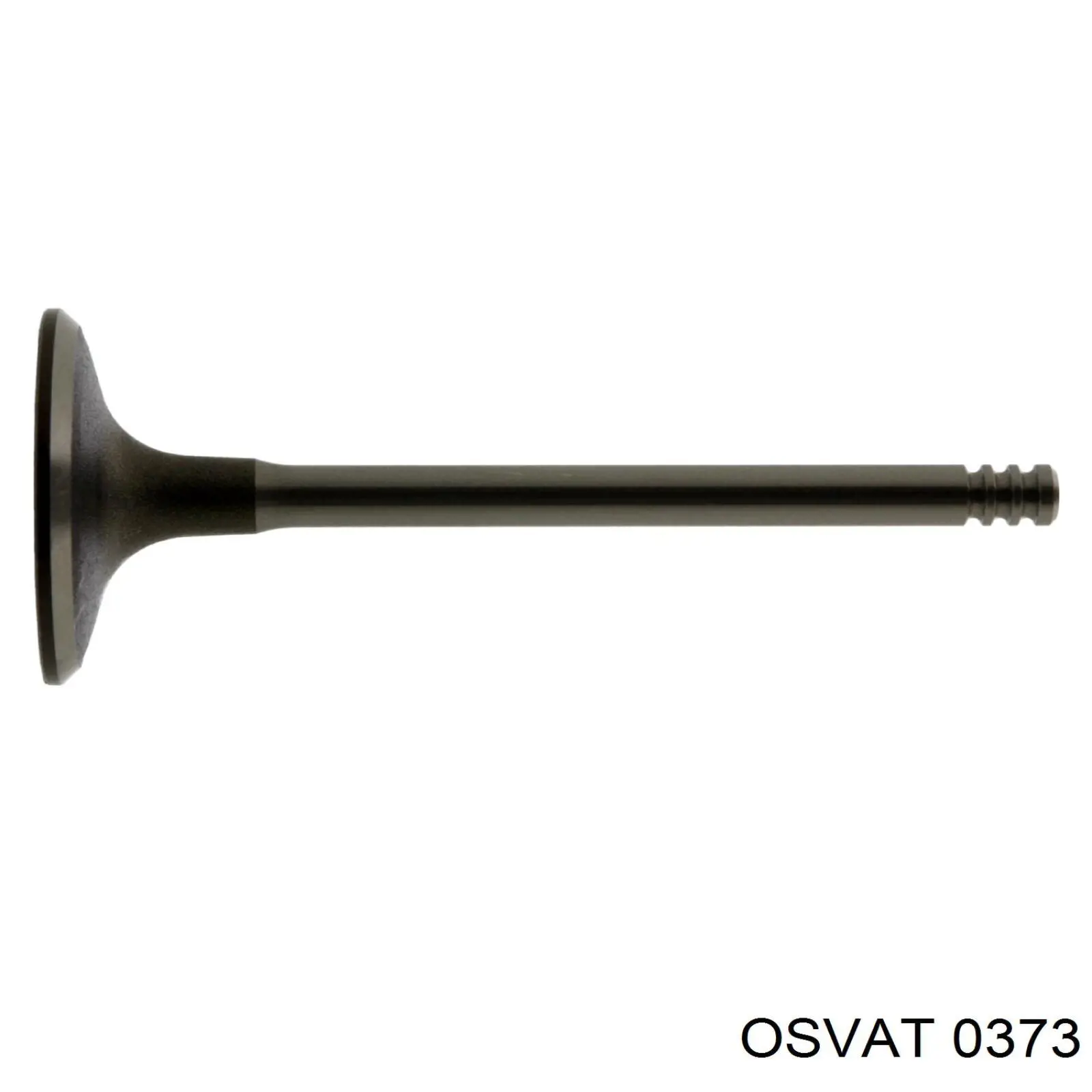 0373 Osvat клапан впускний