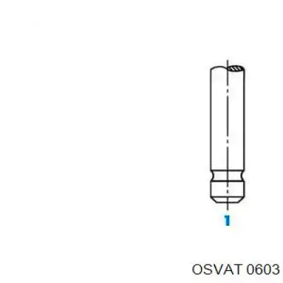  0603 Osvat