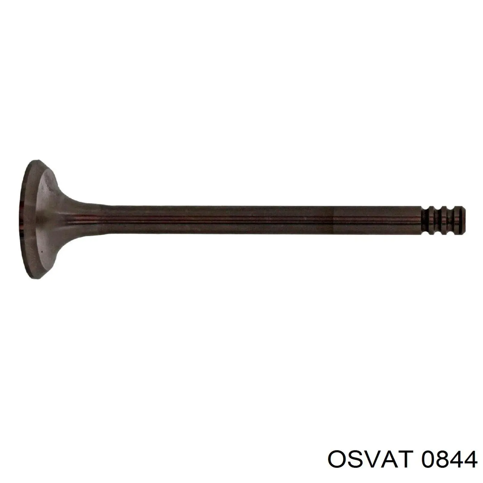 0844EX Osvat клапан випускний