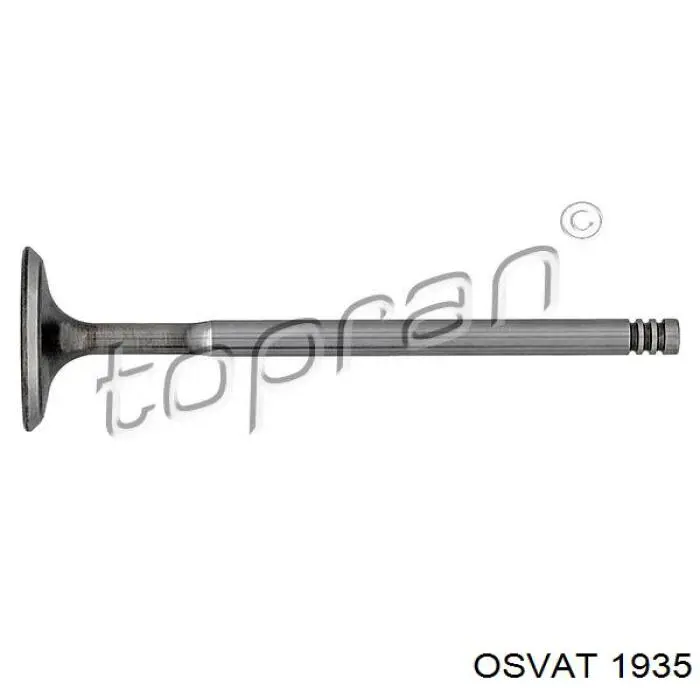 6140SCR Freccia Клапан впускний