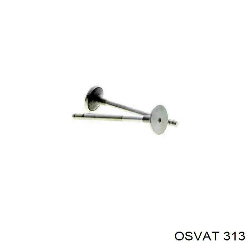 V91317 AE Клапан впускний