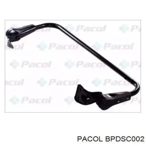  BPDSC002 Pacol