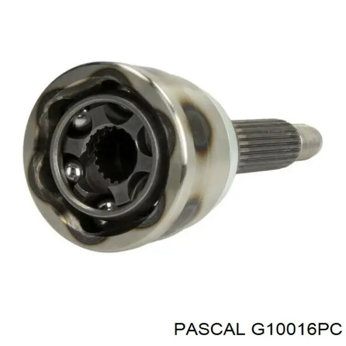 G10016PC Pascal шрус зовнішній передній