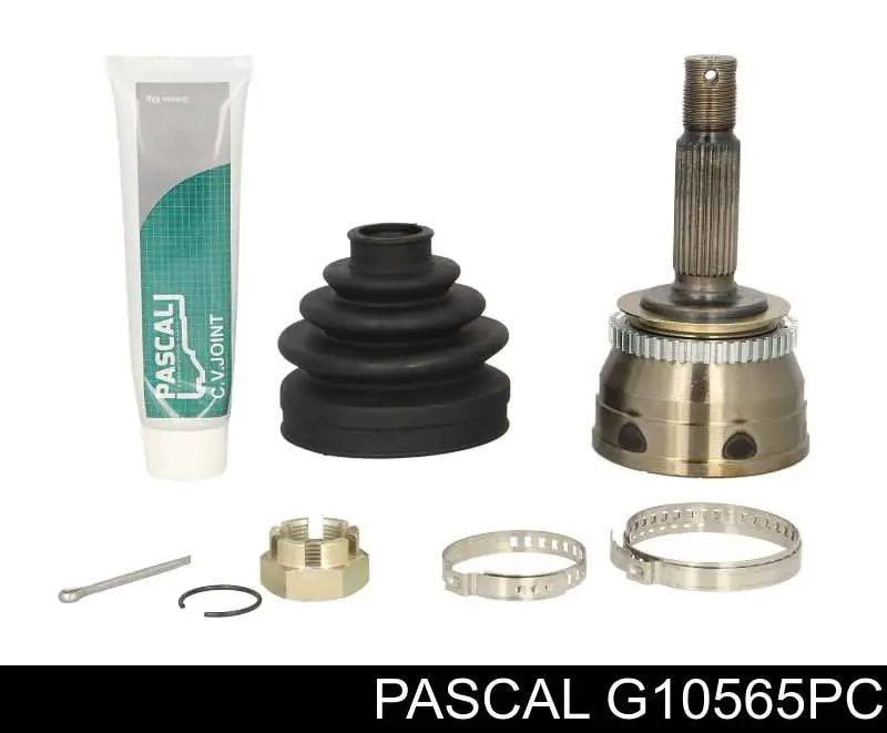 G10565PC Pascal Граната зовнішня