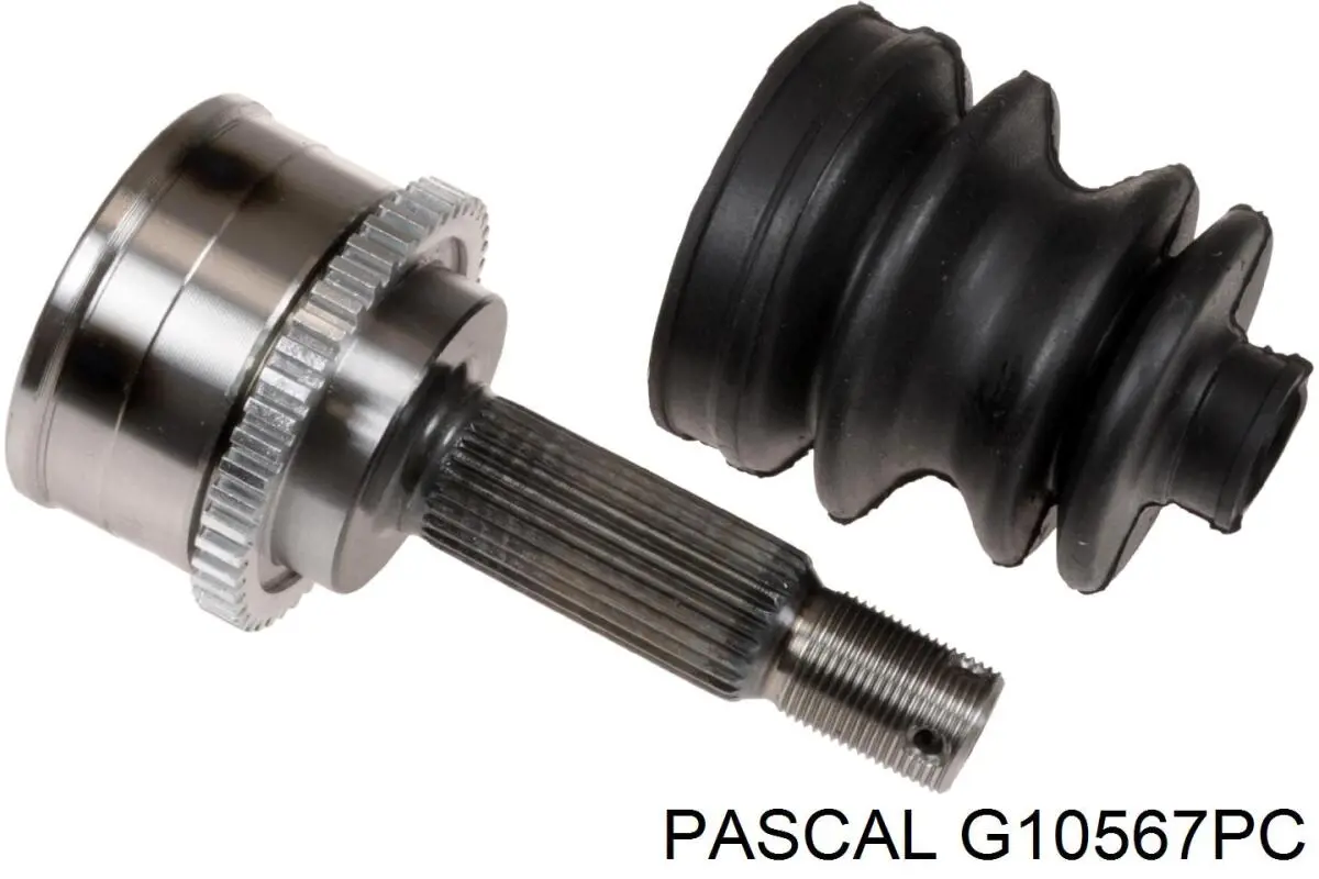 G10567PC Pascal Граната зовнішня