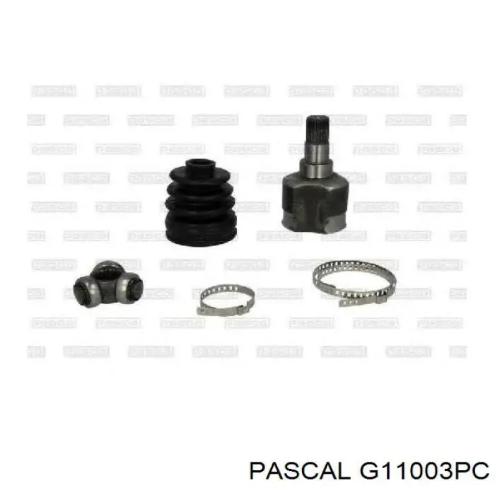Купити G11003PC Pascal Шарнір приводу зовнішній