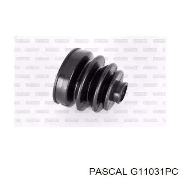 Купити G11031PC Pascal Шарнір приводу зовнішній