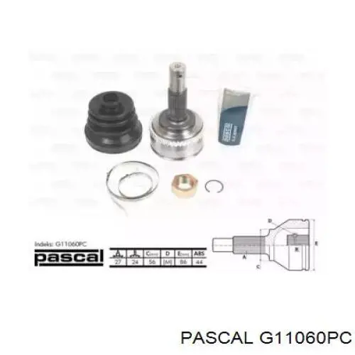 G11060PC Pascal Граната зовнішня