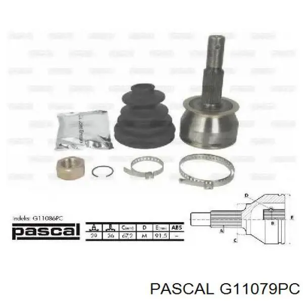 G11079PC Pascal шрус зовнішній передній