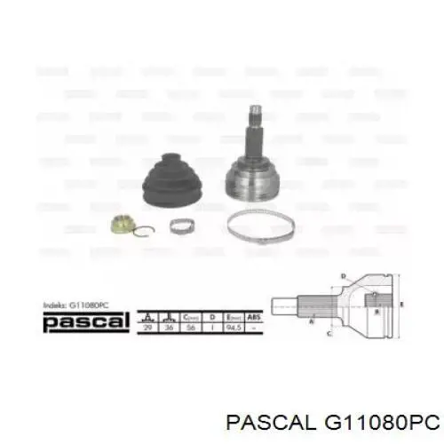 Купити G11080PC Pascal Шарнір приводу зовнішній